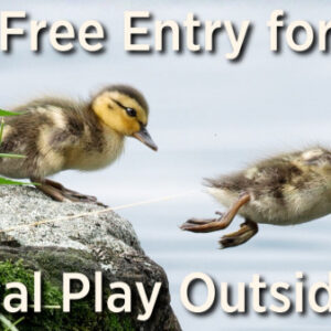Free Entry at Mitchell Lake Audubon Center for National Play Outside Day