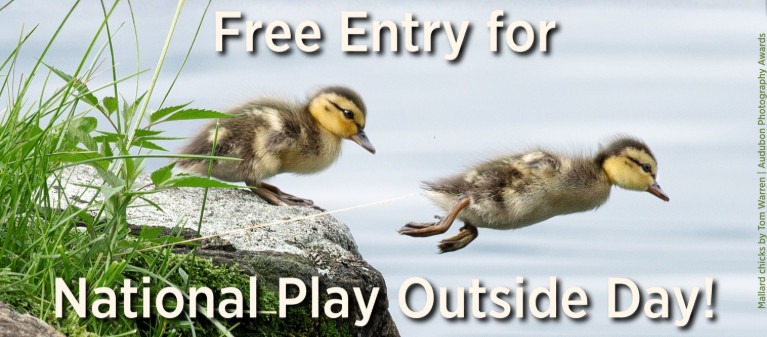 Free Entry at Mitchell Lake Audubon Center for National Play Outside Day