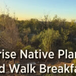 Graphic for the Mitchell Lake Audubon Center Sunrise Native Plant and Bird Walk Breakfast
