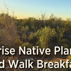 Graphic for the Mitchell Lake Audubon Center Sunrise Native Plant and Bird Walk Breakfast