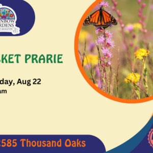 Event Graphic for the Pocket Prairie 101 Class on Saturday, August 22nd at 10 a.m. 2585 Thousand Oaks. This is a free event.
