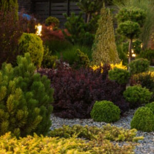 Calendar graphic for Horticulture for Homeowners event