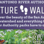 Graphic for the San Antonio River Authority Nature Walks, reading "Discover the Beauty of the San Antonio River watershed and everything that the River Authority parks have to offer"