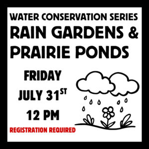 Graphic for the Water Conservation Series: Rain Gardens & Prairie Ponds workshop. Friday July 31st at 12 PM. Registration Required