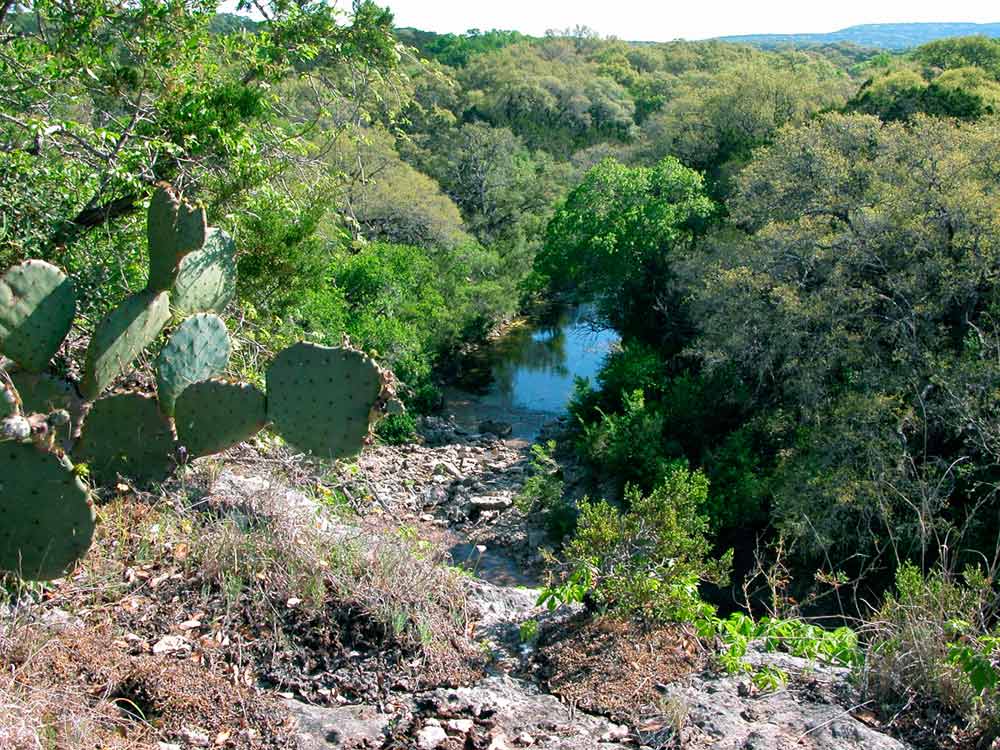 Scenic Overlook of Government Canyon Natural Area