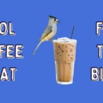 Bird on a cup of iced coffee.