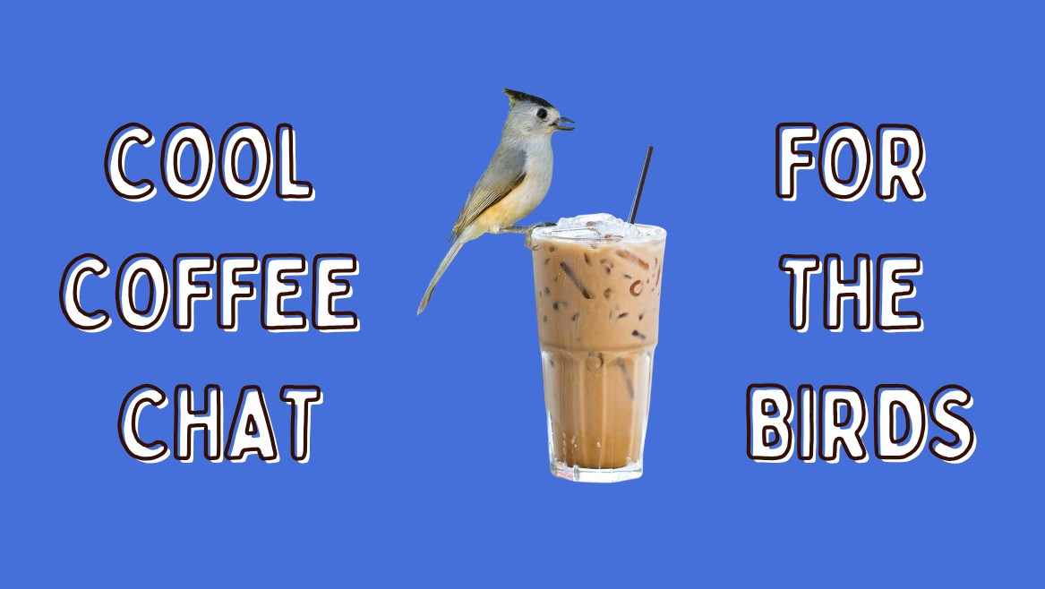 Bird on a cup of iced coffee.
