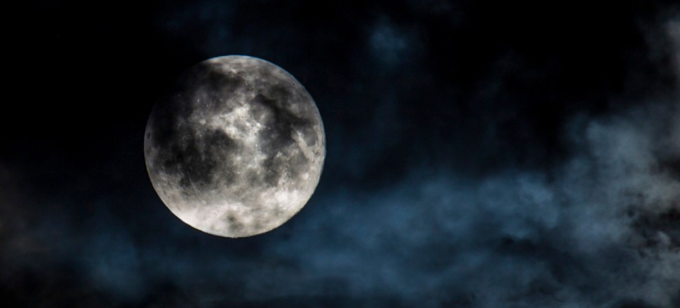 Event graphic for the San Antonio Botanical Garden's Adult Full Moon Walk