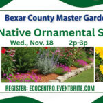 Event Graphic for Eco Centro's Texas Native Ornamental Shrubs Class