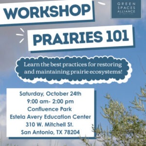Event graphic for the Green Spaces Alliance Prairies 101 Workshop. Learn the best practices for restoring and maintaining prairie ecosystems! This event will take place on Saturday, October 24th from 9 a.m-2 p.m. at the Estela Avery Education Center located in Confluence Park. Address is 310 W. Mitchell St., San Antonio, TX 78204. Sign up at greensatx.org/events