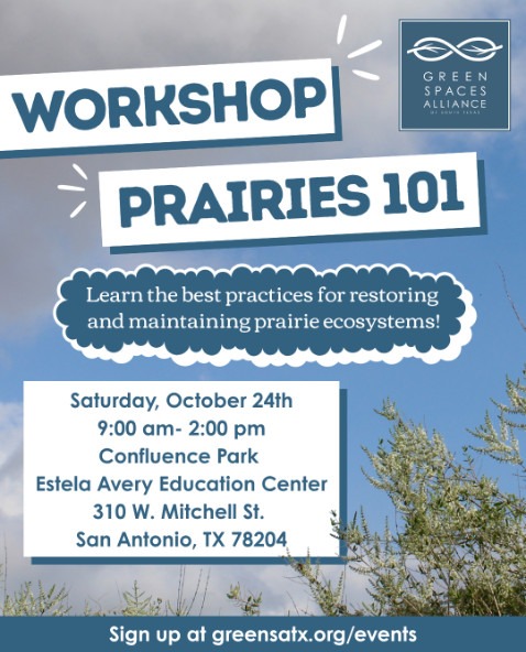 Event graphic for the Green Spaces Alliance Prairies 101 Workshop. Learn the best practices for restoring and maintaining prairie ecosystems! This event will take place on Saturday, October 24th from 9 a.m-2 p.m. at the Estela Avery Education Center located in Confluence Park. Address is 310 W. Mitchell St., San Antonio, TX 78204. Sign up at greensatx.org/events