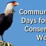 Event graphic for the Mitchell Lake Audubon Center Community Free Day for Latino Conservation Week