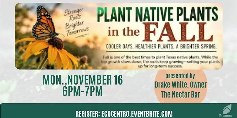 Event graphic for Eco Centro's Plan and Plant Native Plants in the fall event. The graphic reads "Stronger roots, Brighter Tomorrows. Cooler days, healthier plants, a brighter spring. Fall is one of the best times to plant Texas native plants. While the top growth slows down, the roots keep growing-setting your plants up for long-term success.". Monday, November 16th 6-7 pm. Presented by Drake White, owner of The Nectar Bar. Register at ecocentro.eventbrite.com