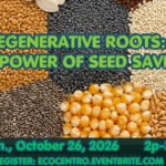 Event graphic for Eco Centro's "Regenerative roots: The power of seed saving" event. Monday, October 26th, 2026, 2pm-3pm. Register at ecocentro.eventbrite.com
