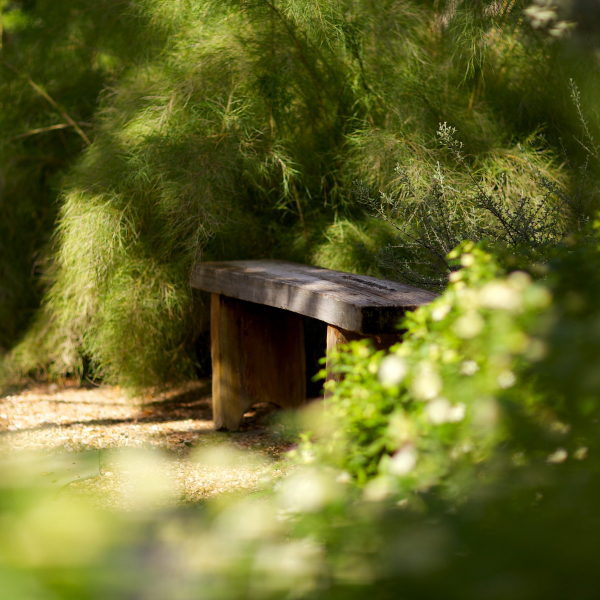1488570742muhly-grass-bamboo-jrp.jpg